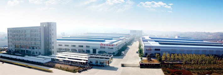 浙江雙鳥集團(tuán)全景圖